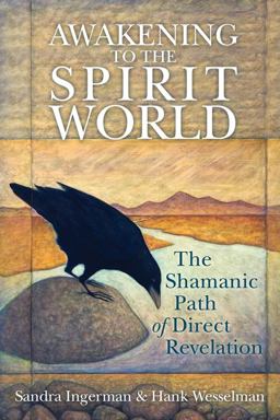 Awakening to the Spirit World The Shamanic Path of Direct Revelation  9781591797500 Front Cover