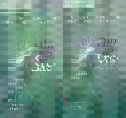 Falling into Grace: Insights on the End of Suffering  9781591799245 Front Cover