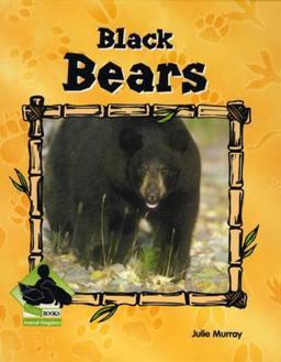 Black Bears