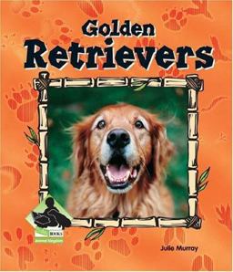 Golden Retrievers