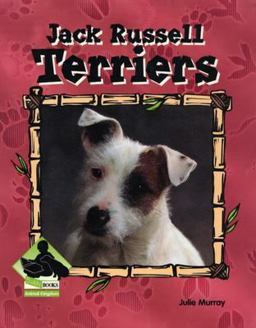 Jack Russell Terriers