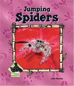 Jumping Spiders