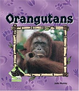 Orangutans