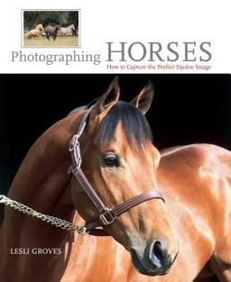 Photographing Horses How to Capture the Perfect Equine Image  9781592282302 Front Cover