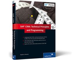 SAP CRM: Technical Principles and Programming
