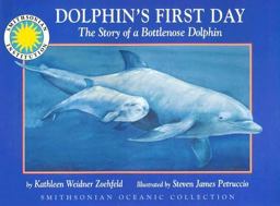 Dolphin's First Day