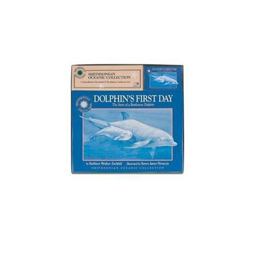Dolphin's First Day