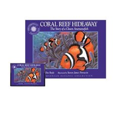 Coral Reef Hideaway Coral Reef Hideaway