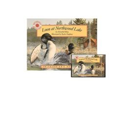 Loon at Northwood Lake Loon at Northwood Lake