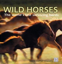 Wild Horses