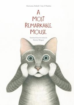 Most Mysterious Mouse  9781592702138 Front Cover