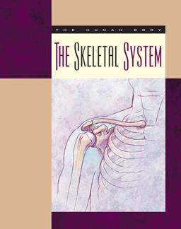 The Skeletal System