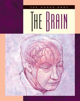 The Brain