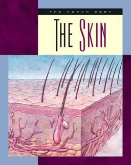 The Skin