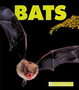 Bats Bats
