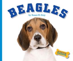 Beagles