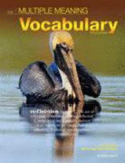 The Multiple Meaning Vocabulary Program