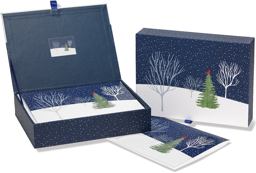 Midnight Cardinal Deluxe Boxed Holiday Cards:  9781593597894 Front Cover