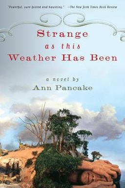 Strange As This Weather Has Been A Novel  9781593761660 Front Cover