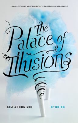 Palace of Illusions  9781593765422 Front Cover