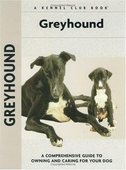 Greyhound