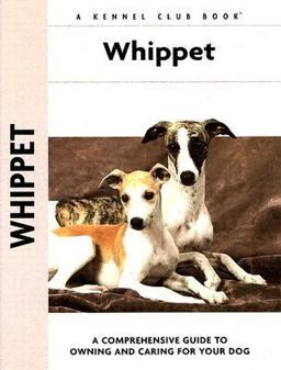 Whippet
