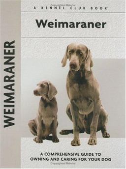 Weimaraner