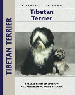 Tibetan Terrier