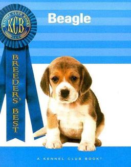 Beagle