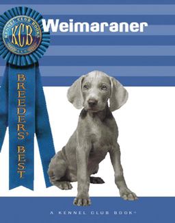 Wiemaraner