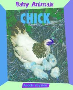 Chick