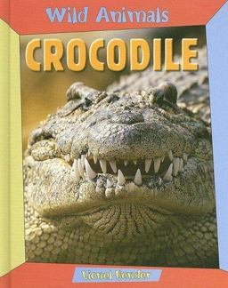 Crocodile
