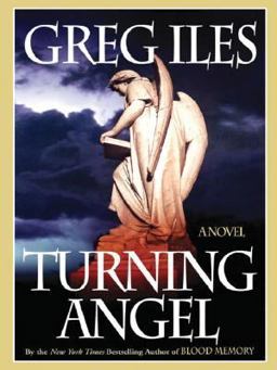 Turning Angel