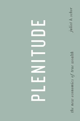 Plenitude The New Economics of True Wealth  9781594202544 Front Cover