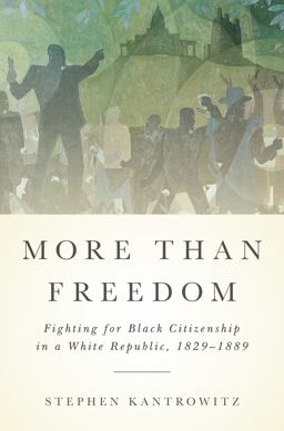 More Than Freedom Fighting for Black Citizenship in a White Republic, 1829-1889  9781594203428 Front Cover