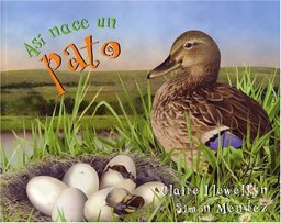 Asi Nace un Pato