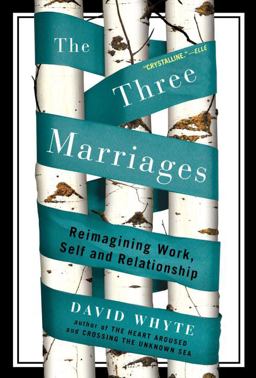 Three Marriages Reimagining Work, Self and Relationship  9781594484353 Front Cover