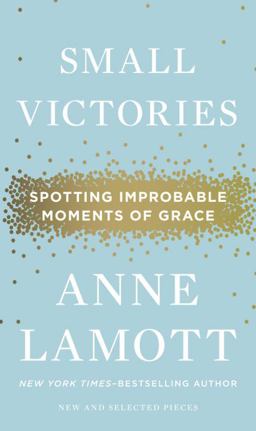 Small Victories Spotting Improbable Moments of Grace  9781594486296 Front Cover
