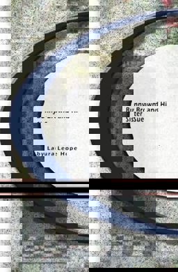 Bunny Brown and His Sister Sue