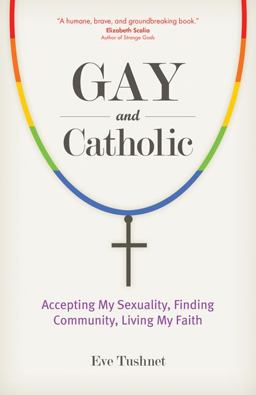 Gay and Catholic Accepting My Sexuality, Finding Community, Living My Faith  9781594715426 Front Cover