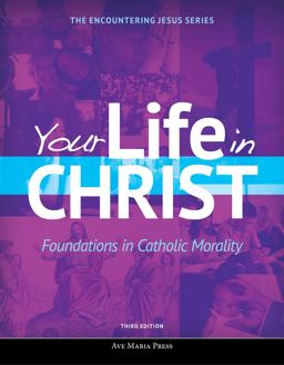 YOUR LIFE IN CHRIST  9781594717369 Front Cover