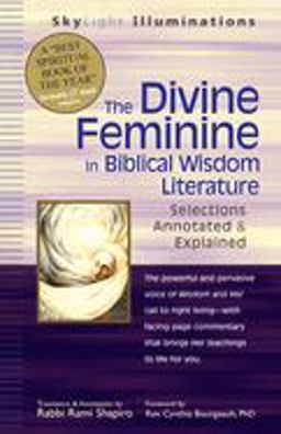 Divine Feminine in Biblical Wisdom Literature Selections Annotated and Explained  9781594731099 Front Cover