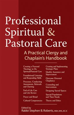 Professional Spiritual and Pastoral Care A Practical Clergy and Chaplain's Handbook  9781594733123 Front Cover