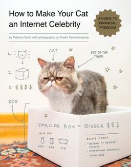 How to Make Your Cat an Internet Celebrity A Guide to Financial Freedom  9781594746796 Front Cover