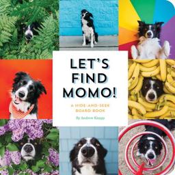 Let's Find Momo! A Hide-And-Seek Board Book  9781594749582 Front Cover