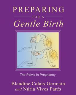 Preparing for a Gentle Birth The Pelvis in Pregnancy  9781594773884 Front Cover