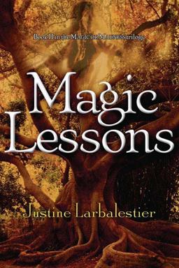 Magic Lessons  9781595140548 Front Cover
