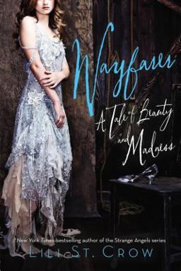 Wayfarer A Tale of Beauty and Madness  9781595146205 Front Cover