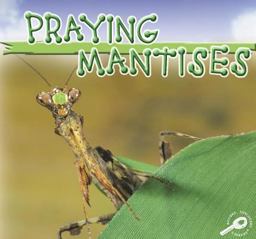 Praying Mantises