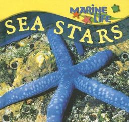 Sea Stars Sea Stars
